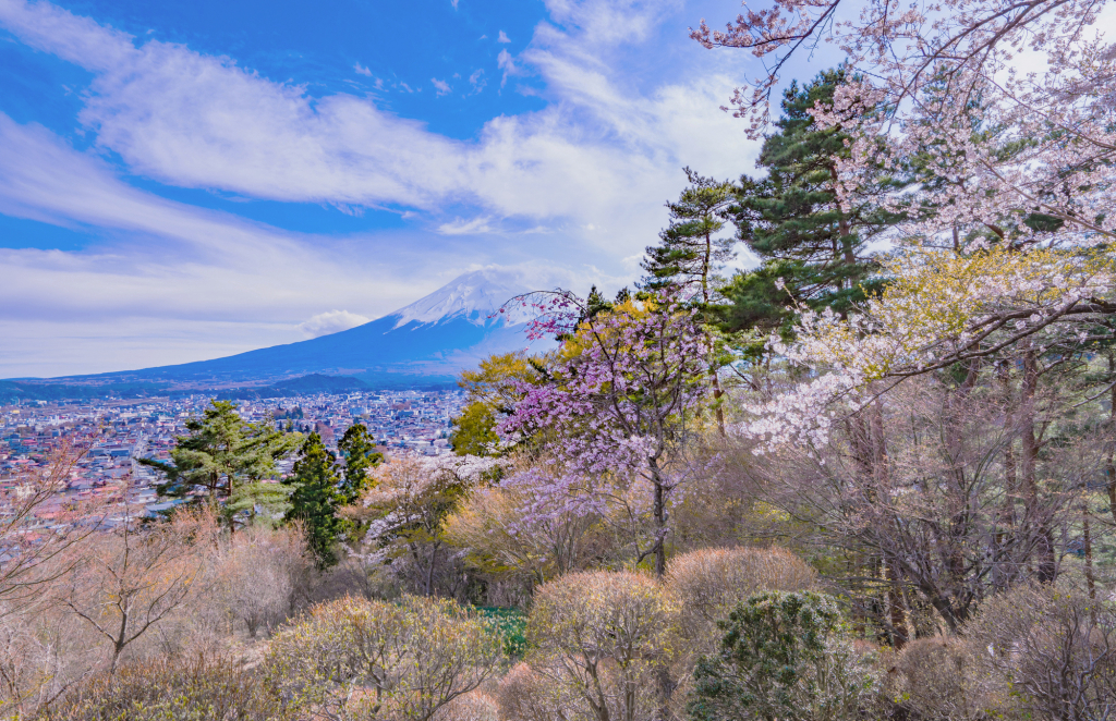 富士見孝徳公園